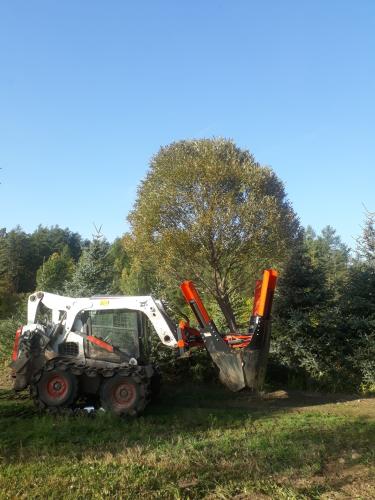 Kerapaju Bullata kaevamine